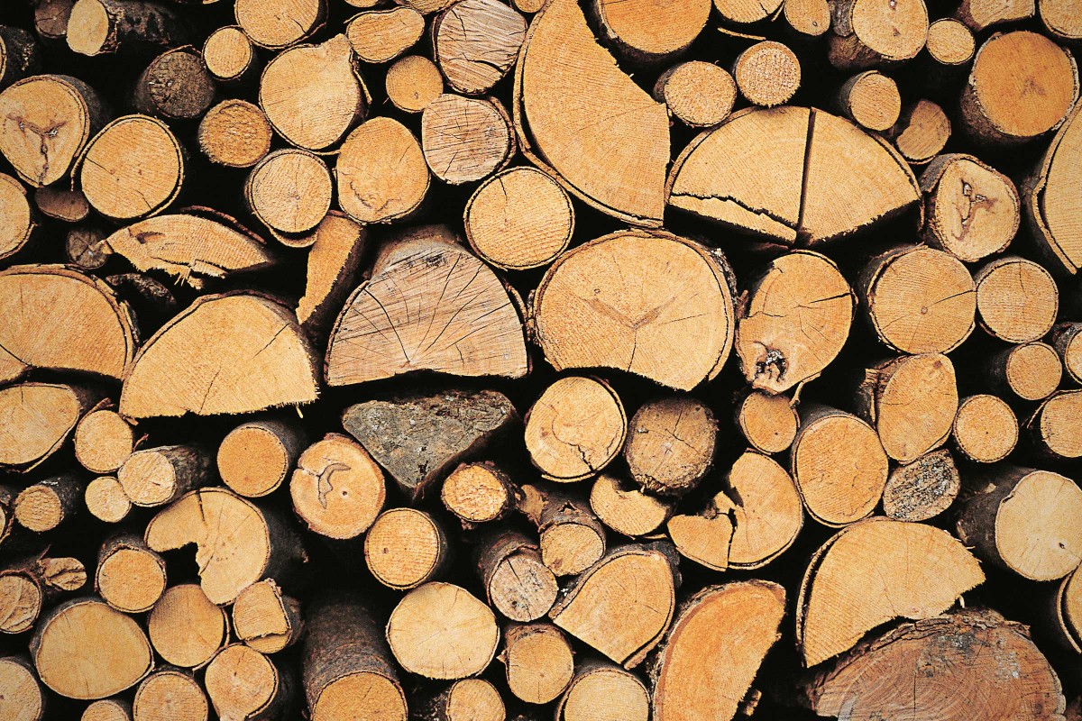 brennholz stapeln 