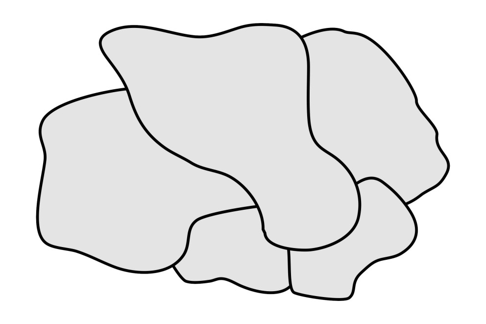 
			verlegemuster polygonalverband

		