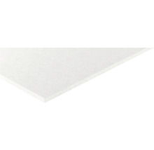 fermacell Gipsfaserplatte Ein-Mann Platte 1500 x 1000 x 10 mm-thumb-5