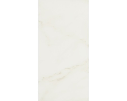 Steingut Wandfliese Carrara 30,0x60,0 cm weiß glänzend