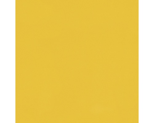 Steinzeug Wandfliese Uni barvy 14,8x14,8 cm gelb glänzend