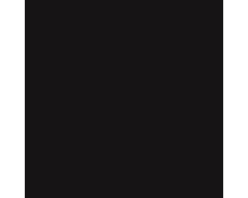 Steinzeug Wandfliese Color One 19,8x19,8 cm schwarz glänzend