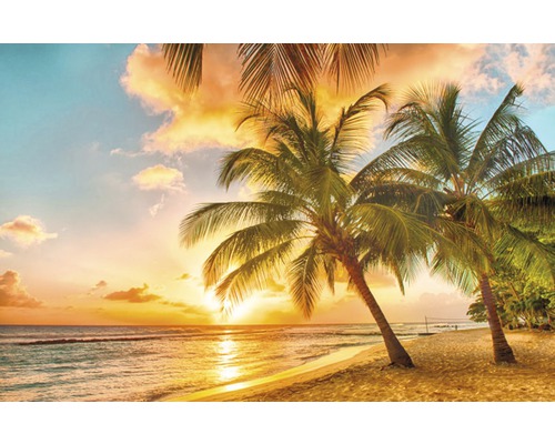 Fototapete Vlies 16049 Barbados Palm Beach 5-tlg. 250 x 180 cm