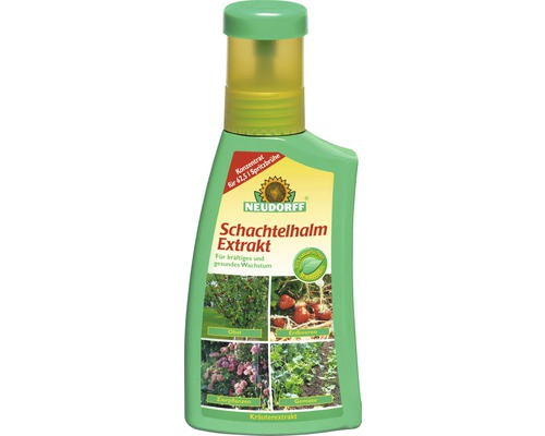 Schachtelhalm-Extrakt Neudorff Konzentrat 250 ml