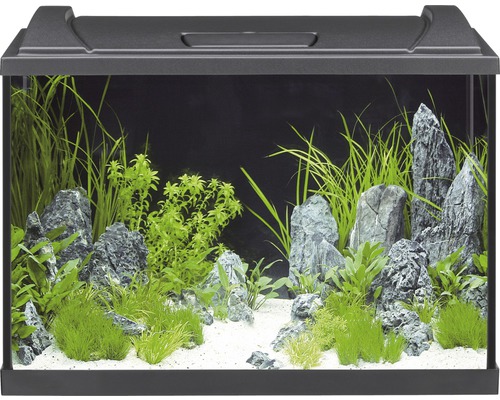 Aquarium EHEIM aquaproLED 84 mit LED-Beleuchtung, Filter, Heizer, Thermometer, Fangnetz ohne Unterschrank schwarz