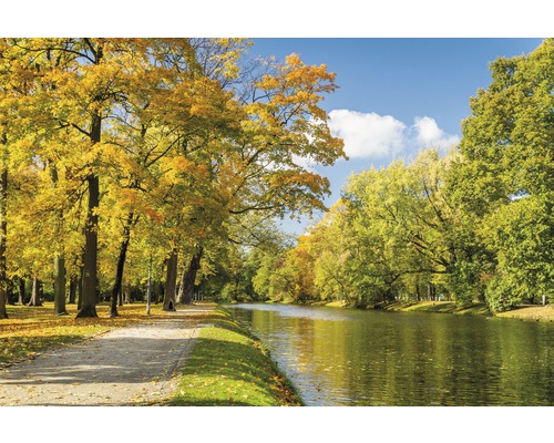 Fototapete Papier 97344 River in Autumn Park 7-tlg. 350 x 260 cm