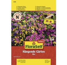 Blumensamenmix 'Hängende Gärten' FloraSelf Select samenfestes Saatgut-thumb-0