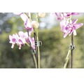 Orchideenclips FloraSelf grün 10 Stk