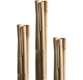 Bambusstab FloraSelf H 90 cm Ø 6 mm 10 Stk