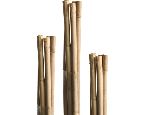30 Stück Nature by Kolibri Bambusstäbe Pflanzenstäbe zur Stabilisierung von Pflanzen im Garten Rankstäbe Bambus 120 cm naturfarbend 