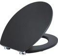 WC-Sitz Form & Style Black matt mit Absenkautomatik