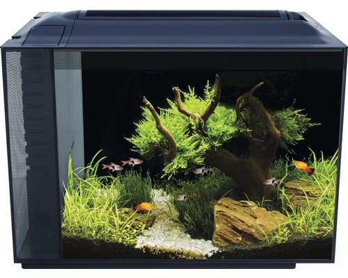 Aquarium Fluval Spec XV 60 l mit LED Beleuchtung und Filtersystem schwarz