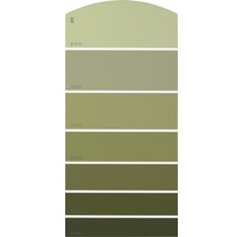Farbmusterkarte B25 Farbwelt gelb 21x10 cm-thumb-0