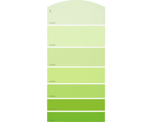 Farbmusterkarte G11 Farbwelt grün 21x10 cm-0
