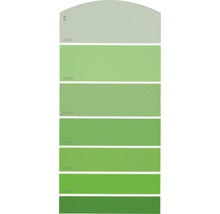 Farbmusterkarte G16 Farbwelt grün 21x10 cm-thumb-0