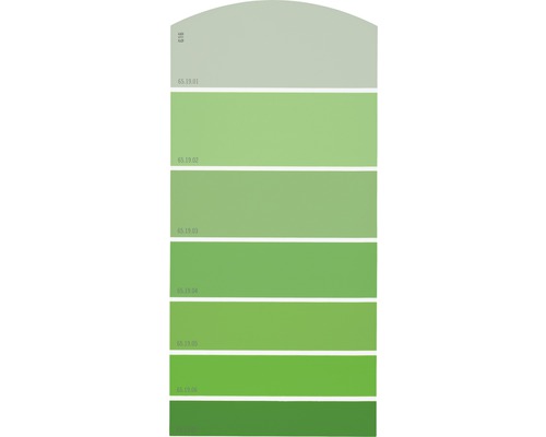 Farbmusterkarte G16 Farbwelt grün 21x10 cm-0