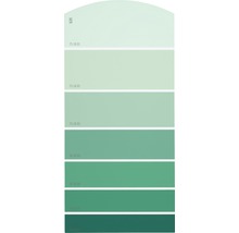 Farbmusterkarte G20 Farbwelt grün 21x10 cm-thumb-0
