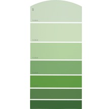 Farbmusterkarte G22 Farbwelt grün 21x10 cm-thumb-0