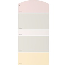 Farbmusterkarte J01 Farben für Körper, Geist & Seele - wohltuend & heilend 21x10 cm-thumb-0