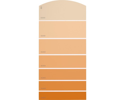 Farbmusterkarte C12 Farbwelt orange 21x10 cm-0