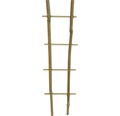Bambus-Rankgitter FloraSelf 35 cm, holz
