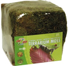 Bodengrund ZOO MED Terrarium Moss Minibale 5,62 l-thumb-0