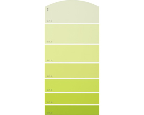Farbmusterkarte G12 Farbwelt grün 21x10 cm