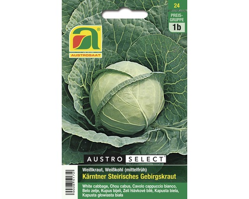 Gemüsesamen Austrosaat Weißkraut Kärntner ‘Steirisches Gebirgskraut‘ (mittelfrüh)