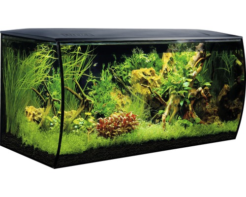 Aquarium Fluval Flex 123 l inkl. LED-Beleuchtung, Filter, Schaumstoffunterlage ohne Unterschrank schwarz