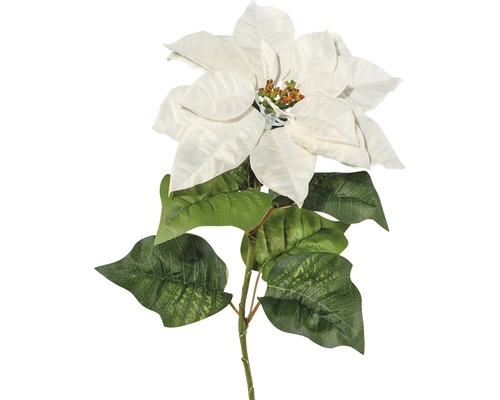 Kunstblume Poinsettie Höhe: 70 cm weiß-0