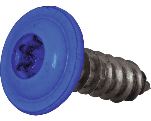 Blechschraube f.Nummernschild, 4,8 x 16 mm, Edelstahl blau, 100 Stück