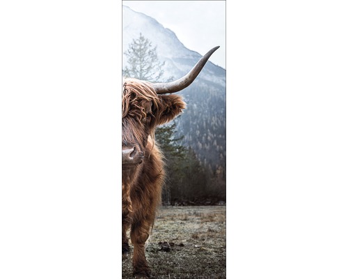 Leinwandbild Highland Cattle 27x77 cm-0