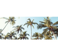 Glasbild Palms On Beach II 30x80 cm GLA2140-thumb-0