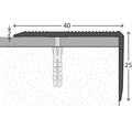 Treppenkantenprofil zum Schrauben Aluminium edelstahl-optik matt 25x40x1000 mm