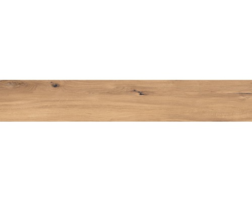 Feinsteinzeug Bodenfliese Wood 20,0x120,0 cm braun matt