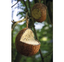 Vogelfuttermix Kokosnüsse & Riesenzapfen 6-teilig-thumb-4