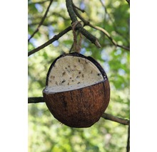 Vogelfuttermix Kokosnüsse & Riesenzapfen 6-teilig-thumb-7