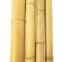 Bambusrohr Ø 4-5 cm Länge 200 cm-thumb-1