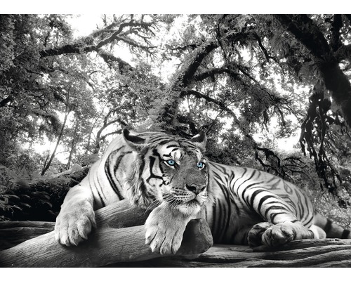 Decopanel Tiger 98x136 cm
