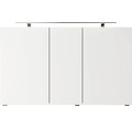 Spiegelschrank Pelipal Xpressline 4035 3-türig 120x14,5x70,3 cm grau