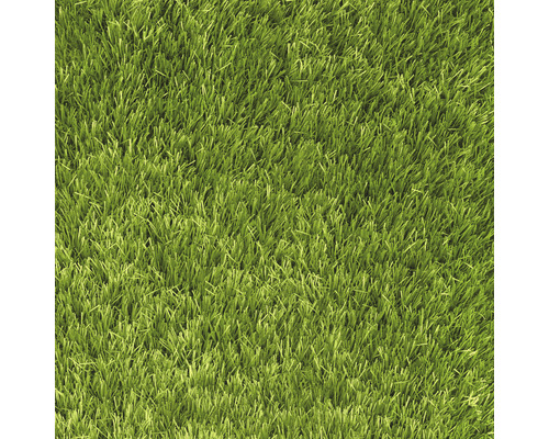 Kunstrasen Alizee mit Drainage grün 400 cm breit (Meterware)