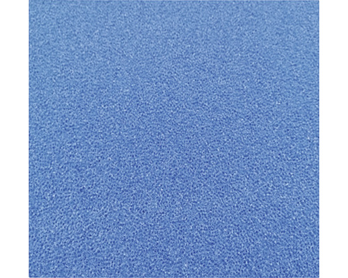 JBL Filterschaum fein, 50 x 50 x 5 cm, blau