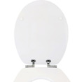 WC-Sitz Form & Style Eiche grau mit Absenkautomatik