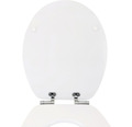 WC-Sitz Form & Style Edge metallic silver mit Absenkautomatik