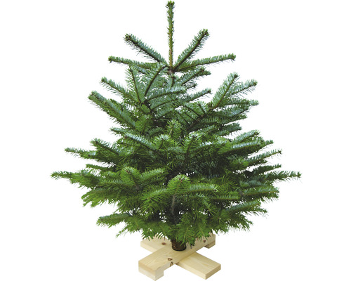 Nordmanntanne auf Holzkreuz H 80-100 cm geschlagener Weihnachtsbaum aus nachhaltigem Anbau