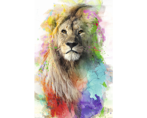 Maxiposter Multicolour Lion 61x91,5 cm