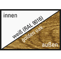 Festelement ESG ARON Basic weiß/golden oak 550x1850 mm (nicht öffenbar)