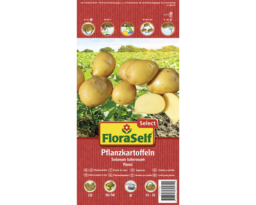 Pflanzkartoffel FloraSelf Select 'Penni' 10 Stk.