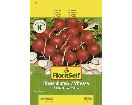 Radieschen ‘Riesenbutter / Vitessa‘ FloraSelf samenfestes Saatgut Gemüsesamen