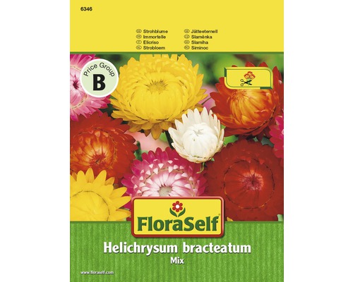 Strohblumen 'Mix' FloraSelf samenfestes Saatgut Blumensamen